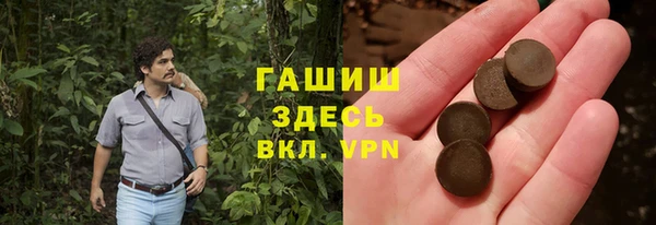 2c-b Горнозаводск