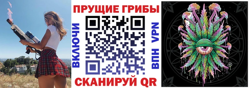 Купить где  Кедровый  Галлюциногенные грибы прущие грибы 